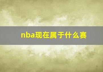 nba现在属于什么赛