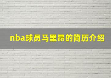 nba球员马里昂的简历介绍