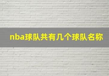 nba球队共有几个球队名称