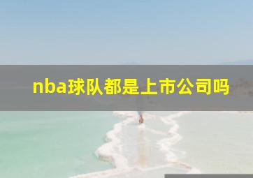 nba球队都是上市公司吗