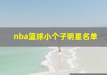 nba篮球小个子明星名单