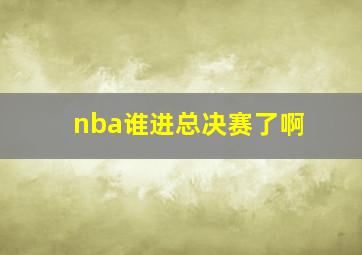 nba谁进总决赛了啊