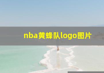 nba黄蜂队logo图片