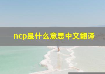 ncp是什么意思中文翻译