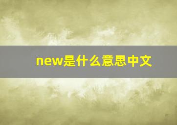 new是什么意思中文