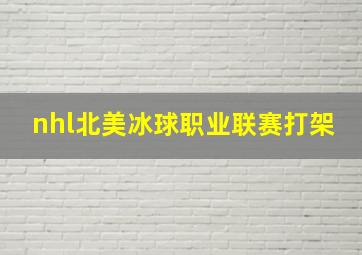 nhl北美冰球职业联赛打架