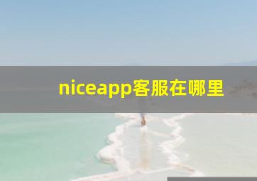 niceapp客服在哪里