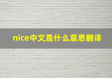 nice中文是什么意思翻译