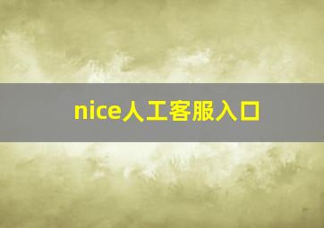 nice人工客服入口