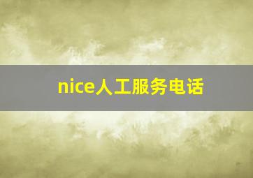 nice人工服务电话