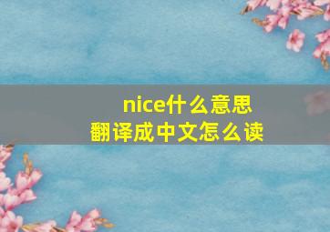 nice什么意思翻译成中文怎么读