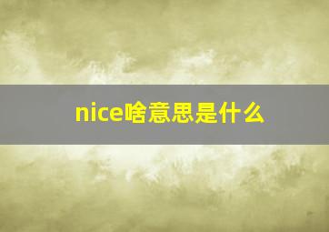 nice啥意思是什么