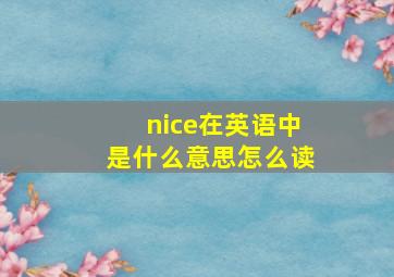 nice在英语中是什么意思怎么读