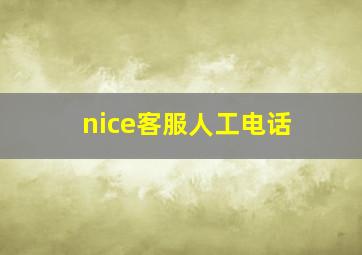 nice客服人工电话