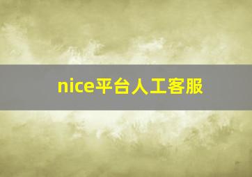 nice平台人工客服