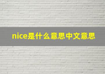 nice是什么意思中文意思