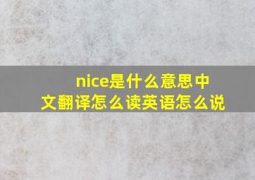 nice是什么意思中文翻译怎么读英语怎么说