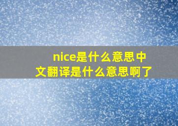 nice是什么意思中文翻译是什么意思啊了