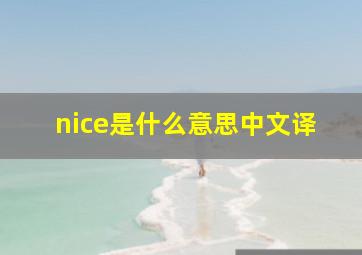 nice是什么意思中文译