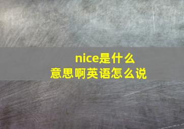 nice是什么意思啊英语怎么说