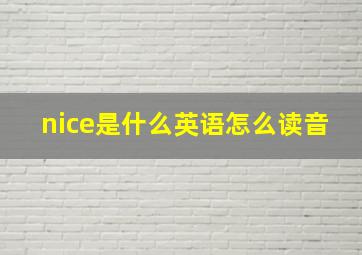 nice是什么英语怎么读音