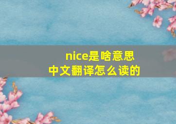 nice是啥意思中文翻译怎么读的