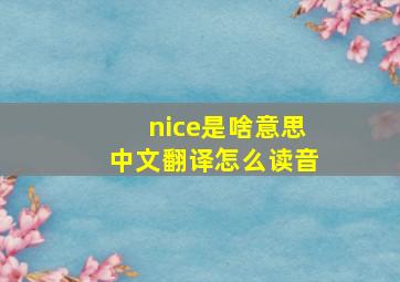 nice是啥意思中文翻译怎么读音