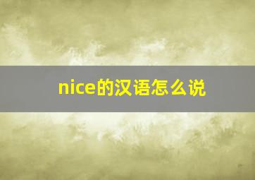 nice的汉语怎么说