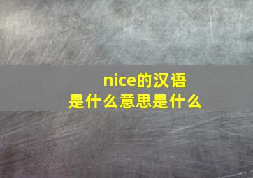 nice的汉语是什么意思是什么