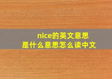 nice的英文意思是什么意思怎么读中文