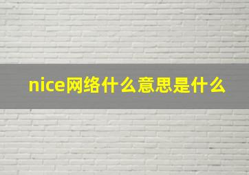 nice网络什么意思是什么