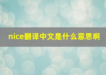 nice翻译中文是什么意思啊