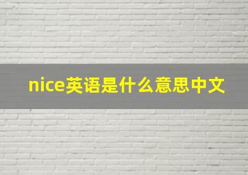 nice英语是什么意思中文