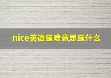 nice英语是啥意思是什么