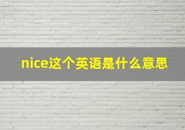 nice这个英语是什么意思