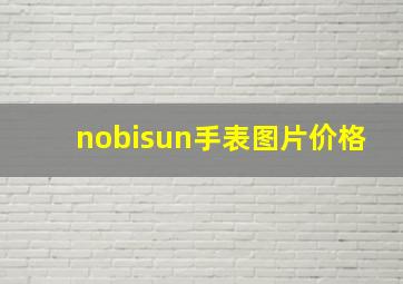 nobisun手表图片价格