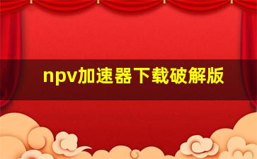 npv加速器下载破解版