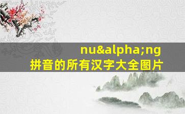 nuαng拼音的所有汉字大全图片