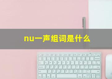 nu一声组词是什么