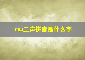 nu二声拼音是什么字