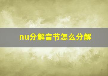 nu分解音节怎么分解