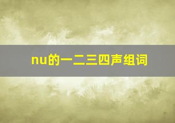 nu的一二三四声组词