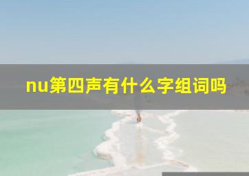 nu第四声有什么字组词吗