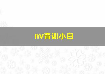 nv青训小白