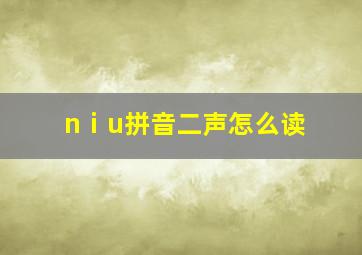 nⅰu拼音二声怎么读