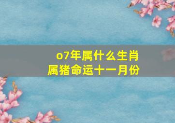 o7年属什么生肖属猪命运十一月份