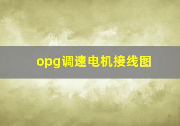 opg调速电机接线图