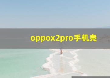 oppox2pro手机壳