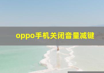 oppo手机关闭音量减键