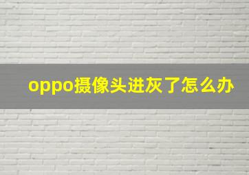 oppo摄像头进灰了怎么办